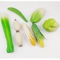 仿真水果 蔬菜 假水果 硬塑料蔬菜 高仿蔬菜 儿童玩具 学校教材批